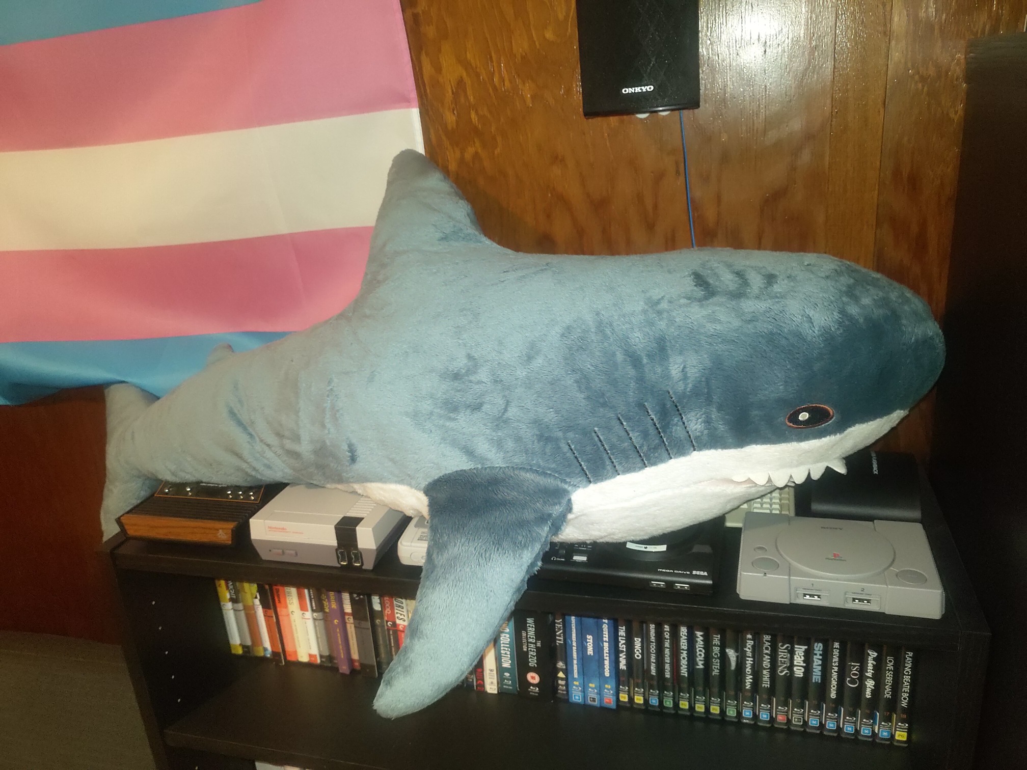 a blahaj on top of some mini games consoles on top of a bluray shelf in front of a trans flag