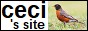 ceci's site